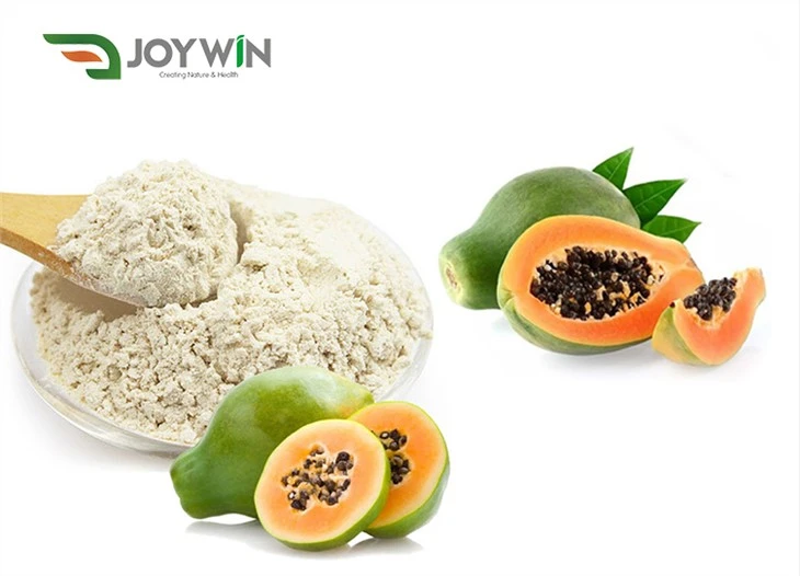 Papaja papain encim