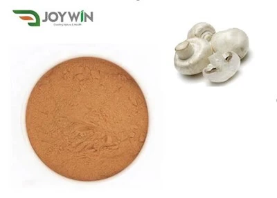 Agaricus Bisporus v prahu
