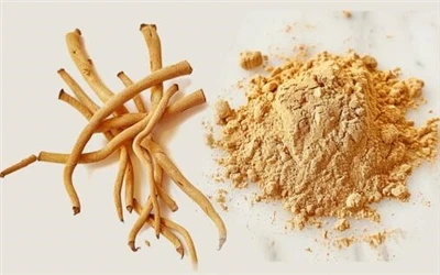 Kako uporabljati Cordycepin v prahu?